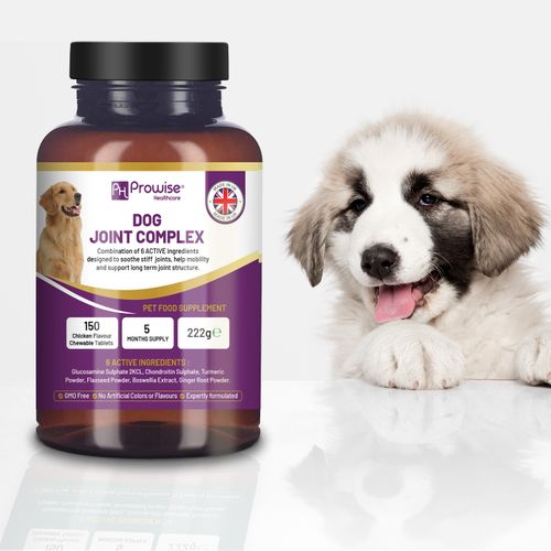 Dog Joint Support 150 Chicken Chewable Tablets 5 Months Supply | UK Made by Prowise