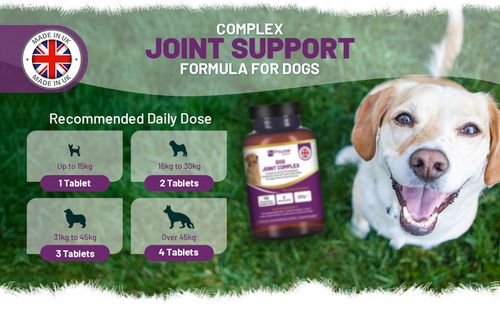 Dog Joint Support 150 Chicken Chewable Tablets 5 Months Supply | UK Made by Prowise